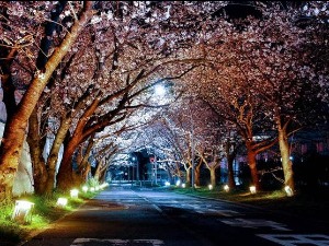 Ноћне променаде