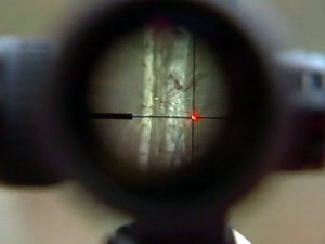 Ко је све одговоран за рањавање дечака у лову