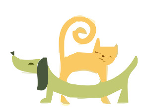  Добро јутро децо: Пас са мноштвом имена 