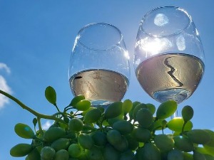  Око магазин-25.7.2022. Вино и земља где вечно сунца сија