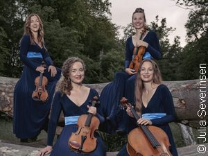 Нова дискографија