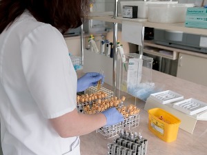 Поднете прекршајне пријаве против медицинских сестара ГАК "Народни фронт"