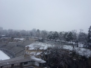 Снег пада у већини крајева, забелео се Београд