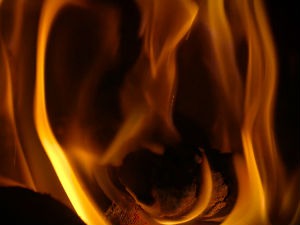 Сасвим природно-Приче о дрвету, дрво извор топлоте