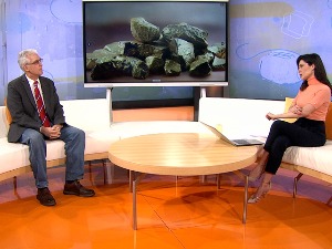 Професор Симић о злату: И народ и ми стручњаци смо нестрпљиви