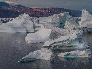 Фосили открили мистериозне рођаке примата који су давно живели на Арктику, добили име Игњације