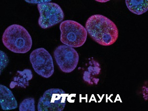 Еко-перспективе:	 Еко-општине