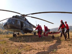 Професионалци-Горска служба