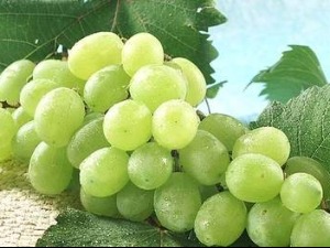 Грозд-Млавски рејон