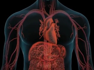 Дуван је легална дрога, Србија једина земља у Европи са задимљеним локалима