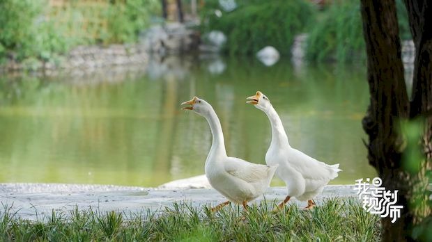 Kina - Očaravajući Peking 2 Kina - Očaravajući Peking 2