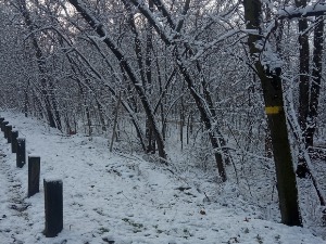 Јутарњи викенд програм