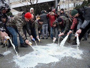 Протест млекара испред Министарства пољопривреде, просули увозно млеко низ Немањину улицу