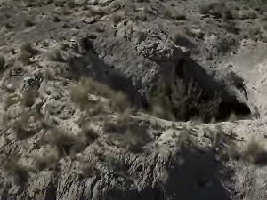 Пећина на југу Шпаније открила неочекиване детаље о праисторијској животињи