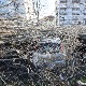 Nevreme u regionu – u Hrvatskoj se utopio muškarac i povređeno dete, vetar čupao drveće u Crnoj Gori