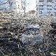 Невреме у региону – у Хрватској се утопио мушкарац и повређено дете, ветар чупао дрвеће у Црној Гори