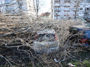Невреме у региону – у Хрватској се утопио мушкарац и повређено дете, ветар чупао дрвеће у Црној Гори