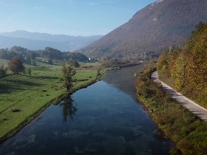 Плива једна једина