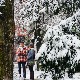 Ледени дан и зубато сунце у Србији