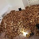 Детлићи направили шпајз у димњаку, ускладиштили више од 300 килограма жирева