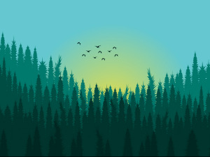 	Фолдер Србија: Село Скакавци