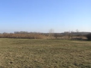 Сваки трећи хектар државне земље се не обрађује, пољопривредници предлажу решење