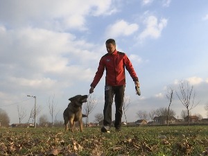 Шта све користе спасиоци у потрази за преживелима