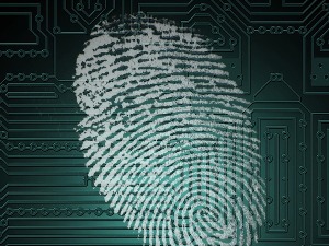 Како настаје јединствен отисак на нашим прстима