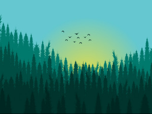 	Фолдер Србија: Јавни сатови