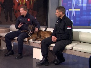 Спасиоци по повратку из Турске за РТС: Тражимо иглу у пласту сена, али спасилачки тимови не одустају