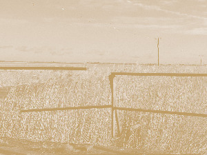 Имагинарни пејзажи