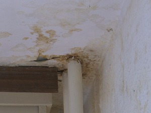 Вода цури из комшијиног стана - коме се жалити