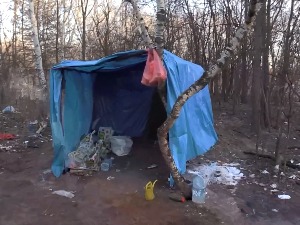 Пронађено скоро 100 ирегуларних миграната у шуми на граници са Мађарском