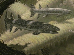 Пронађен фосил „рибе убице“ стар 360 милиона година