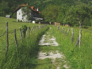  1001 Траг - Авлије, авлије - Зорица Брунцлик 