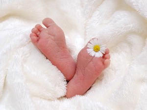 Број рођених у јануару порастао за 11,8 одсто у односу на исти месец прошле године 