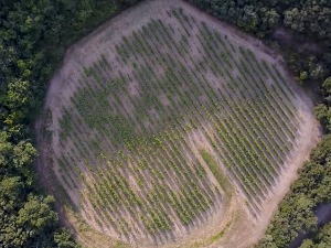 Вина из друге димензије – винарија у кратеру метеорита