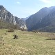 Мештани штите нетакнуту природу кањона Трешњице