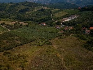 Од сутра поново конкурс за куповину кућа на селу – који су услови и ко може до додатних 10.000 евра