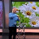 За младолики изглед коже – рузмарин, невен, смиље, мајчина душица