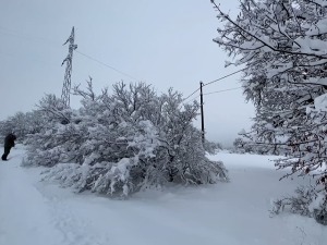 Екипе ЕДБ-а Ужице пробијају се кроз снежне наносе, смањен број кварова