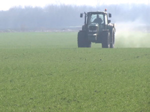 Пшеницом засејано 720.000 хектара, како су нови препарати помогли ратарима