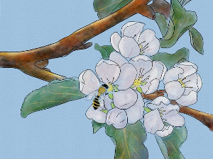  Добро јутро децо: Жеље 