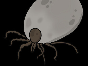  Зоо тајна: Крпељи 